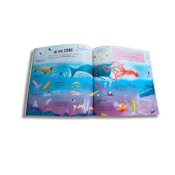 Children's Educational Book