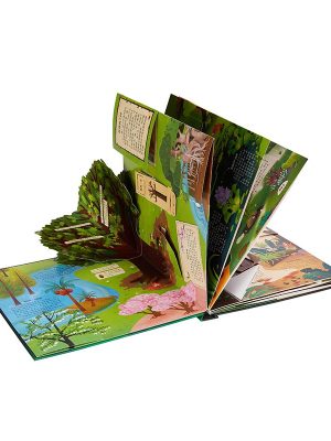 Popup Book