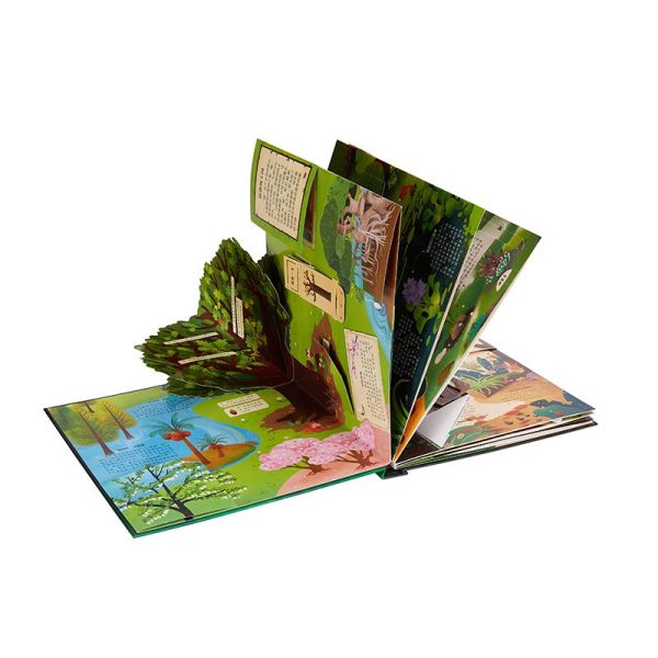 Popup Book